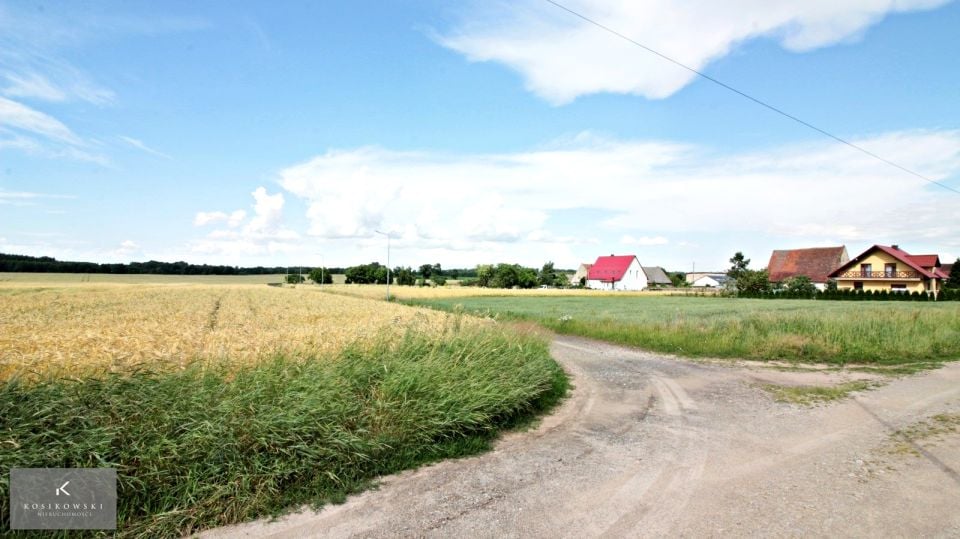 Zdjęcie 2