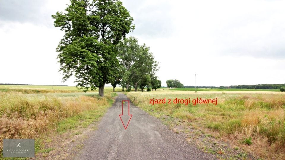 Zdjęcie 3