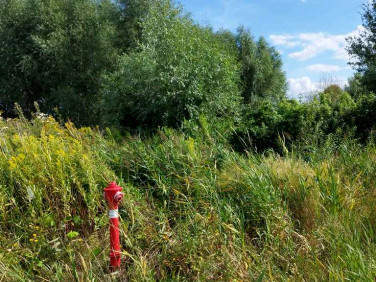 Działka budowlana Kunowo sprzedam