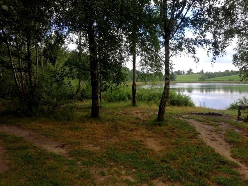 Zdjęcie 3