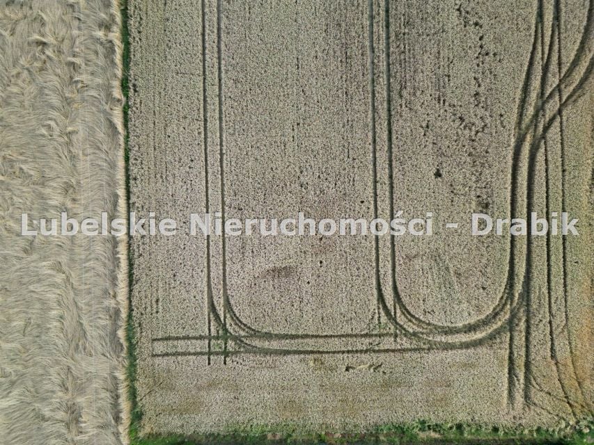 Zdjęcie 2
