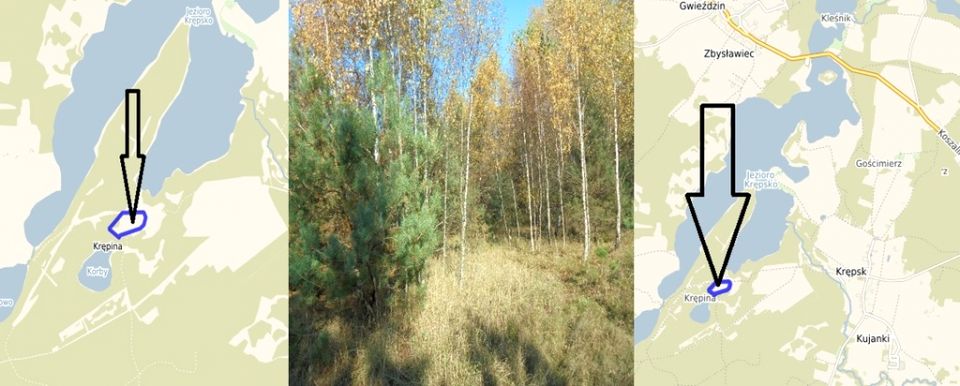 Działka leśna Krępsk