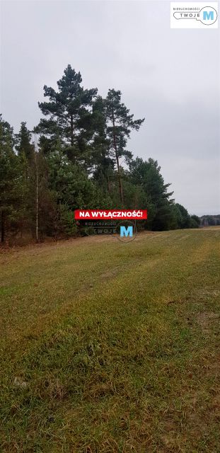 Działka Końskie