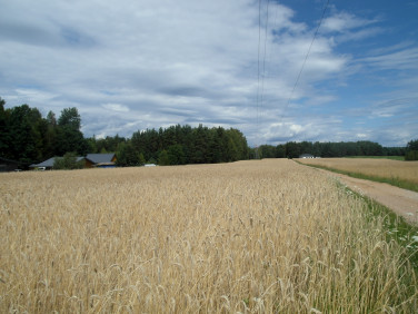 Działka rolna Henrykowo