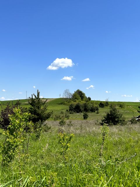 Działka Zrębice
