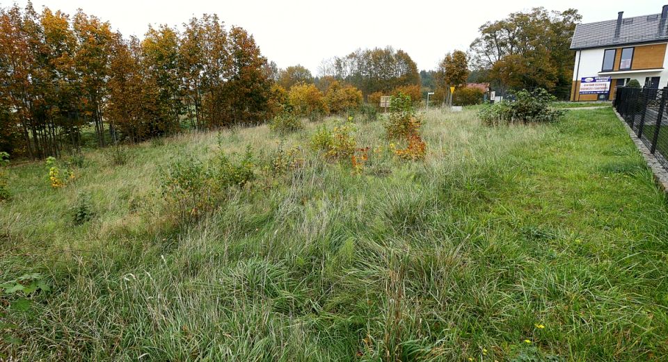 Działka Leśniewo