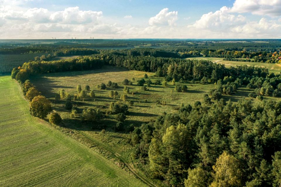 Pusta działka Wiklino