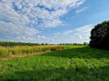 Działka rolna Barczków