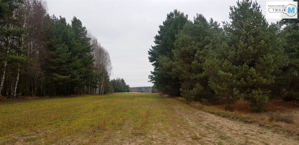 Działka Końskie