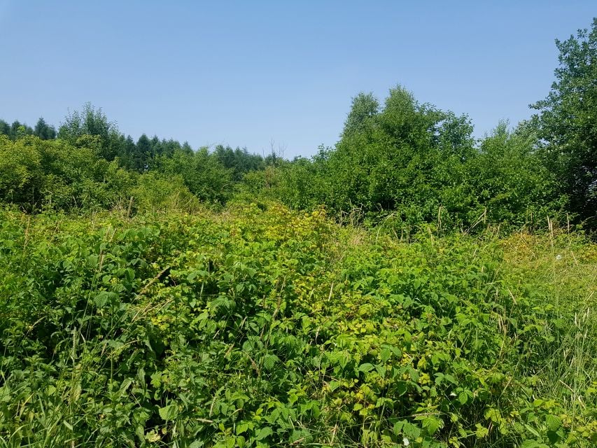 Zdjęcie 3