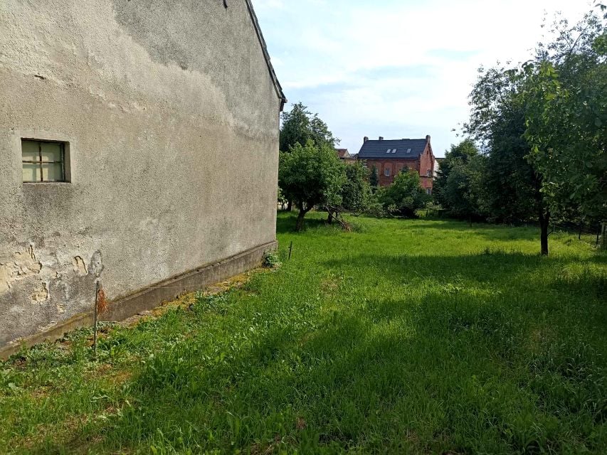 Zdjęcie 3