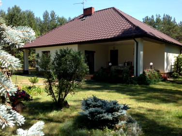 Dom Marzysz