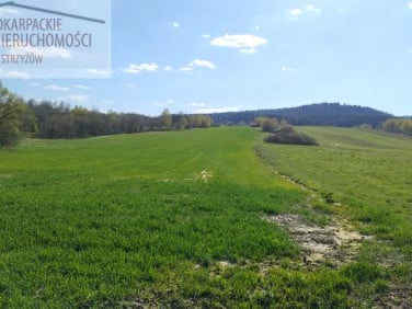 Działka budowlana Lutcza sprzedam