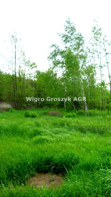 Zdjęcie 2