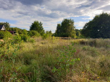 Działka budowlana Adamów-Parcel