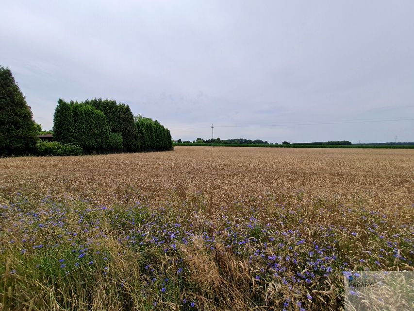 Działka budowlana Lędziny sprzedam