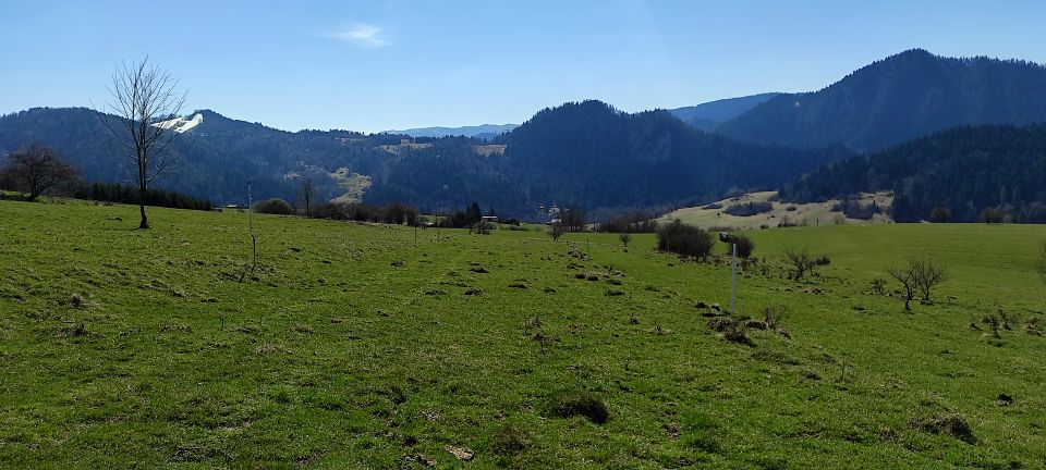 Działka rolna Szczawnica