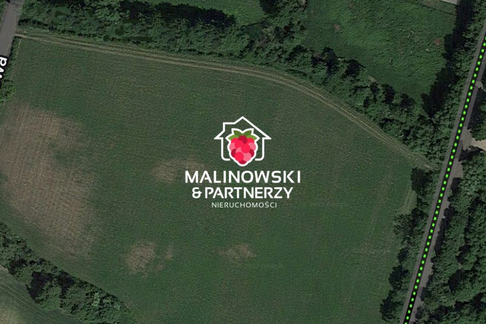 Działka przy lesie