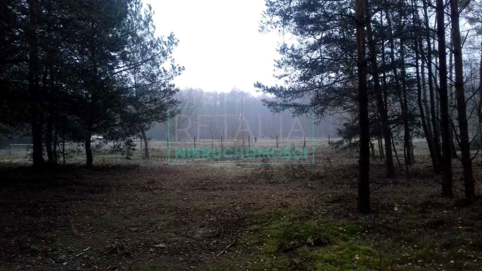 Działka leśna Tarczyn