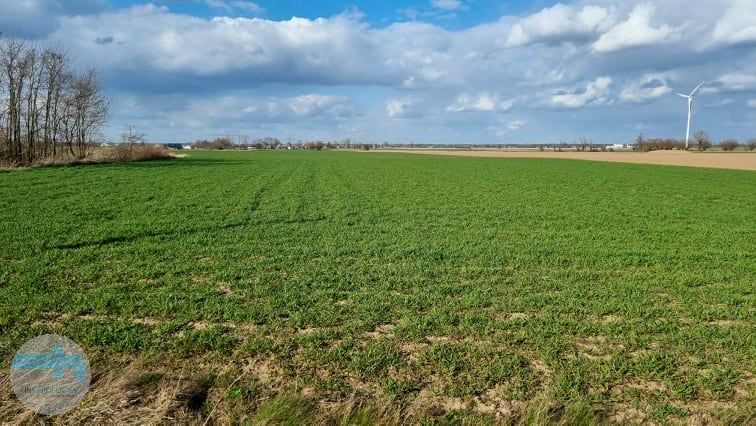 Działka rolna Łempino