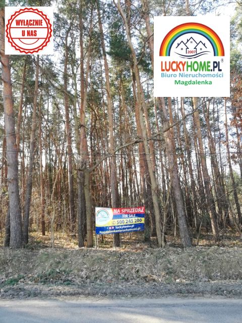 Działka Stefanowo