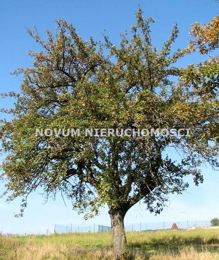Działka Świerklaniec