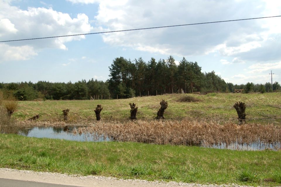 Działka budowlana Kolno