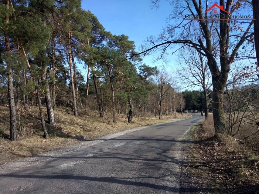 Zdjęcie 3