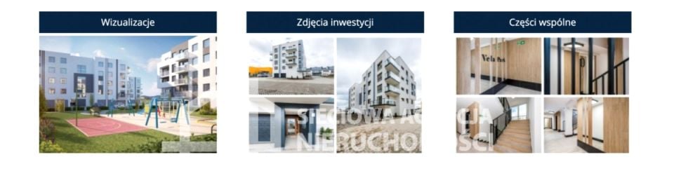 Zdjęcie 3