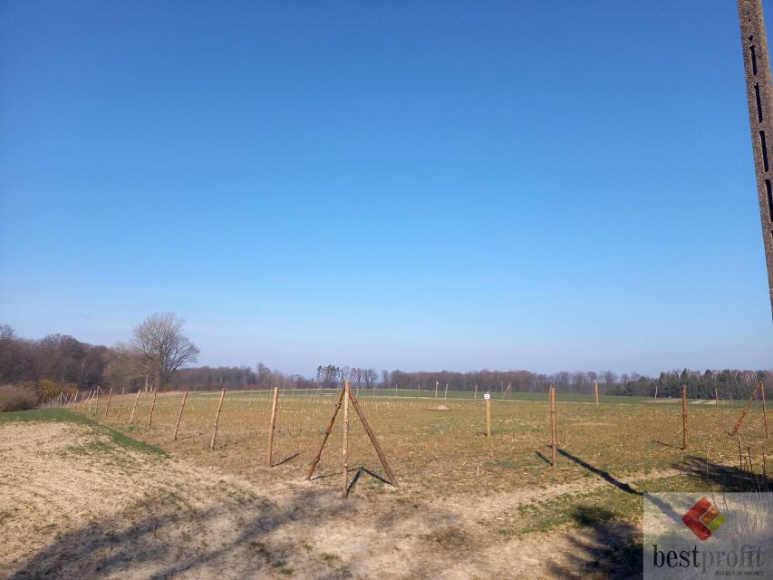 Działka rolna Strzelinko