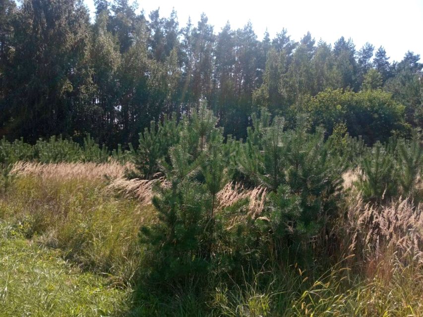 Działka rolna Leszno