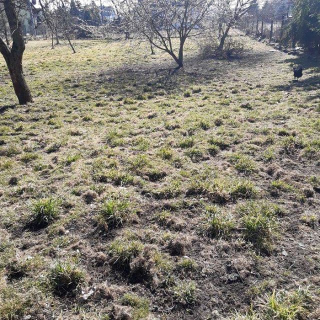 Działka budowlana Gliwice
