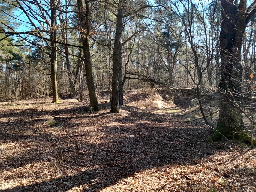 Działka rolna Złotów