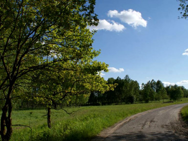 Działka Ińsko