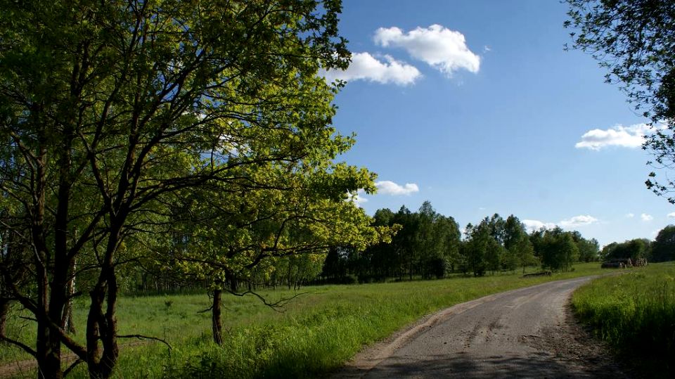 Działka Ińsko