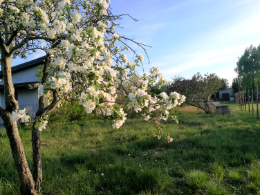 Działka budowlana Żyrardów sprzedam