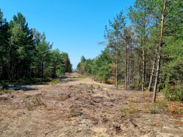 Działka budowlana Zabrodzie sprzedam