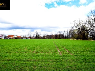 Działka budowlano-rolna Burkatów