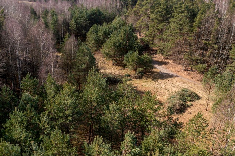 Działka Skorzewo