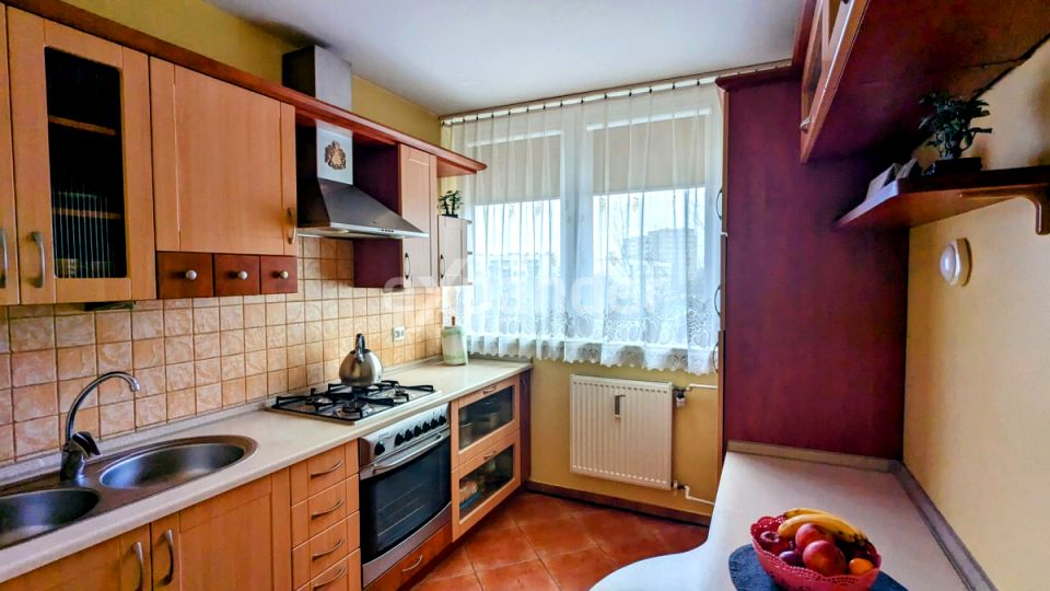 Mieszkanie Legnica