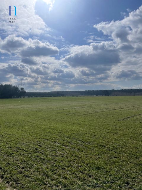 Działka rolna Chechło Pierwsze