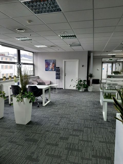 Lokal Gdynia