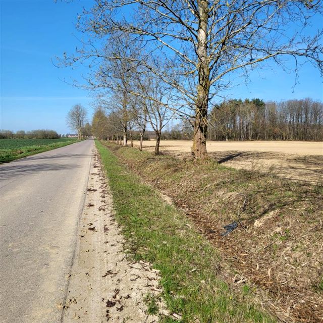 Działka rolna Swołowo