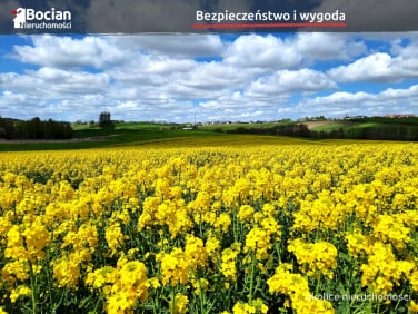 Działka budowlana Przodkowo