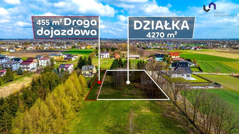 Zdjęcie 3