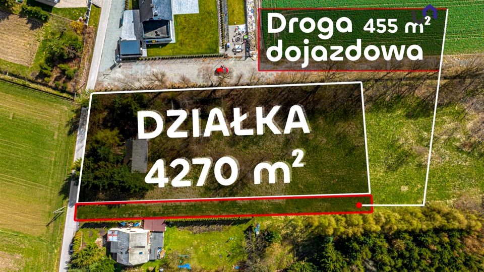 Zdjęcie 2