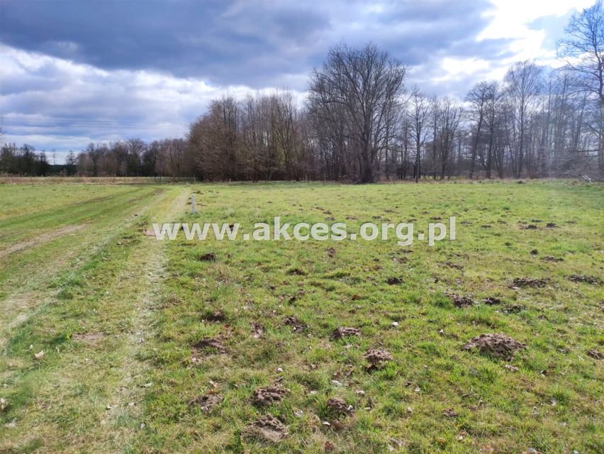 Działka budowlana Arciechów