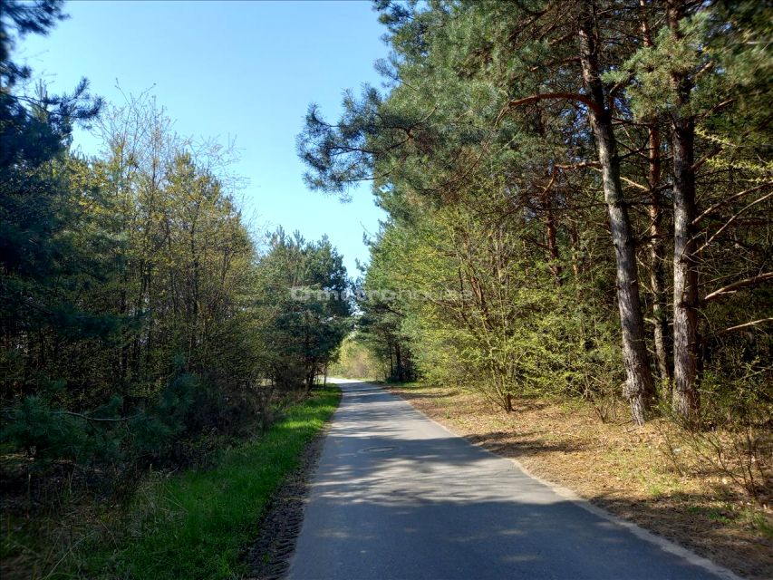 Działka Drogoszowice