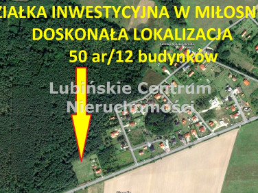 Działka Miłosna