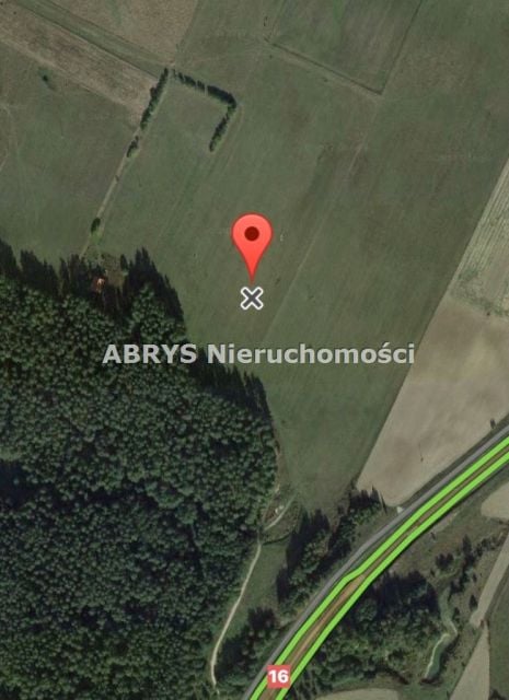 Zdjęcie 3